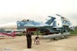 Su-33